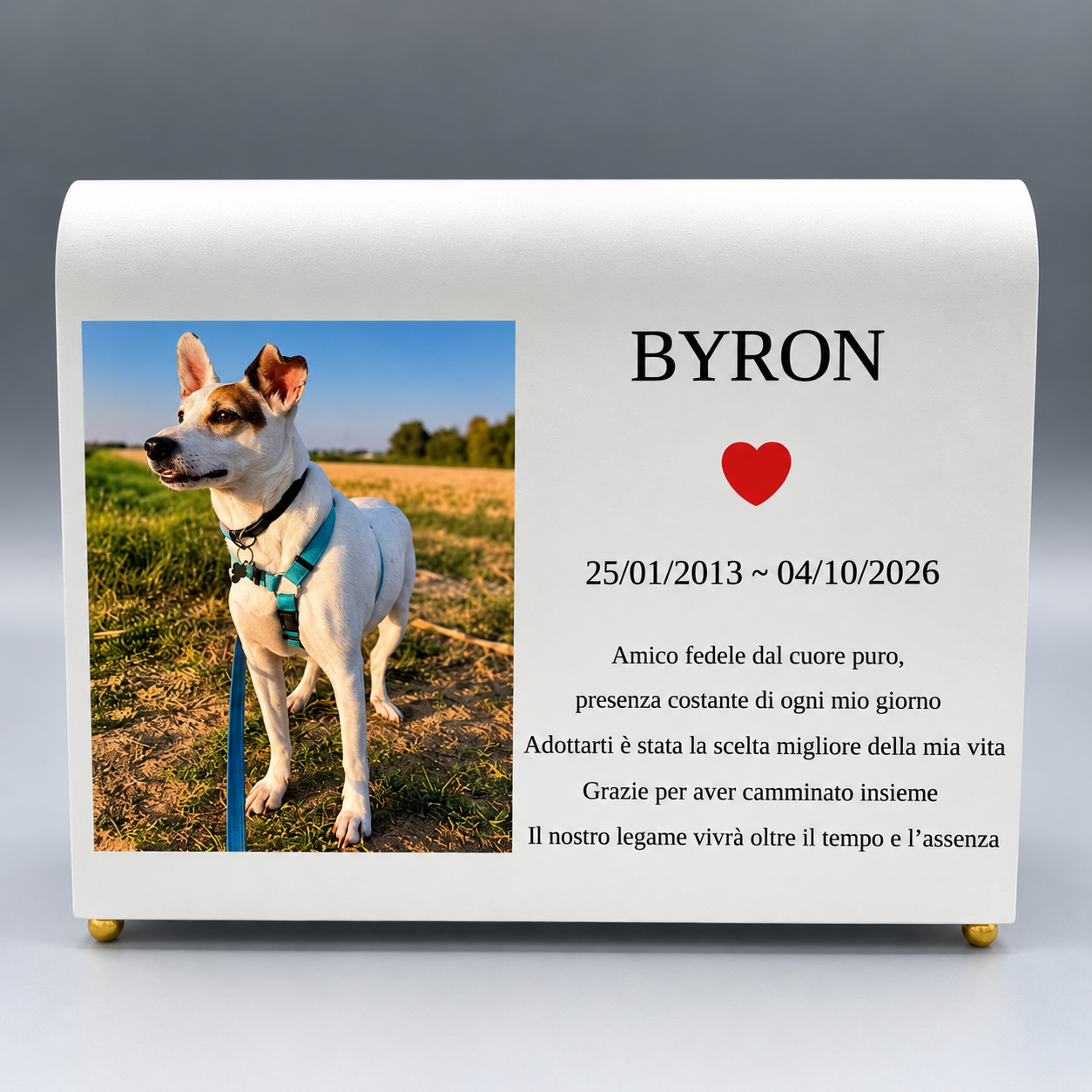 M21P – Libro colore bianco con foto, nome, simbolo e frase commemorativa – Max 80 kg